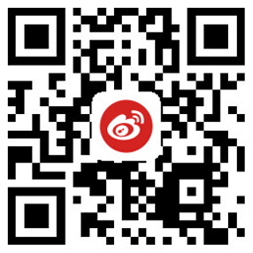 9499威利斯人